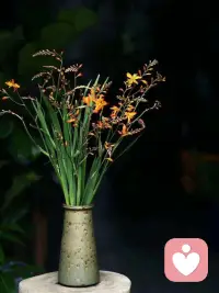 我们每个人，最终都要成为自己的摆渡人，完成一场灵魂的皈依。——心悦配图