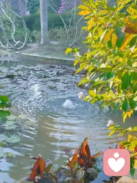 一旦动脑，长期坚持。
​
人一辈子的​开窍，就是一瞬间。配图