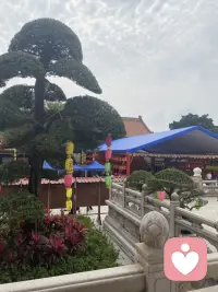 一个女人的成熟，就是从情绪里面跳出来去解决问题。

一心悦配图