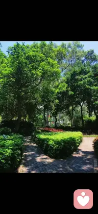 强者的世界没有眼泪。

无依无靠有时候并不是一件坏事，
做好迎接困难的准备，
其实您会比想像的更厉害。
——心悦配图