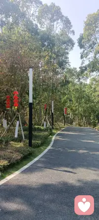 这么些年，生活也蹂躏过我，但是我反蹂躏了生活。在和它的战争中，我的能量高过于它。——心悦配图