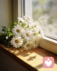 听风吟，心安处

日子行色匆匆，愿你在奔忙世间，
仍能保留一份被倾听的温柔。

我在这儿，做一方安静的渡口。
等一个愿意倾诉的你。
听你诉说欢喜，也承接你的低落。
所有的心事，都可以在此停泊。配图