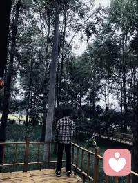 做墨守成规的孩子太难了 我想做游历天下的徐霞客配图