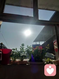 在平凡的日子里种下不平凡的希望。配图