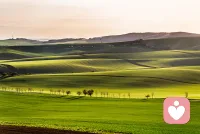 人生断舍离：不是扔东西，是把自己活回来
 
人生断舍离，核心只有一句话：
把时间、精力、情绪，只留给真正重要的人和事。
 
1. 断
断掉不必要的输入：
不讨好、不勉强、不盲从、不被绑架。
2. 舍
舍弃消耗你的人和事：
垃圾关系、无效社交、内耗情绪、无用执念。
3. 离
脱离对“更多、更好、别人有我也要”的执念，
回归简单、自在、真实的自己。
 
 
 
二、人生必须断舍离的 6 样东西
 
1. 消耗你的关系
只会索取、打压、负能量、让你越相处越累的人。
2. 无意义的社交
凑不齐真心、换不来成长、只浪费时间的局。
3. 过度的讨好
不敢拒绝、怕人不高兴、委屈自己成全别人。
4. 对过去的执念
放不下的遗憾、后悔、旧人旧事，反复内耗。
5. 对未来的焦虑
想太多、做太少，被“万一”困住不敢行动。
6. 别人的眼光
活在比较里，为了面子，丢了日子。配图