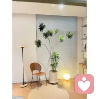 人生断舍离：不是扔东西，是把自己活回来
 
人生断舍离，核心只有一句话：
把时间、精力、情绪，只留给真正重要的人和事。
 
1. 断
断掉不必要的输入：
不讨好、不勉强、不盲从、不被绑架。
2. 舍
舍弃消耗你的人和事：
垃圾关系、无效社交、内耗情绪、无用执念。
3. 离
脱离对“更多、更好、别人有我也要”的执念，
回归简单、自在、真实的自己。
 
 
 
二、人生必须断舍离的 6 样东西
 
1. 消耗你的关系
只会索取、打压、负能量、让你越相处越累的人。
2. 无意义的社交
凑不齐真心、换不来成长、只浪费时间的局。
3. 过度的讨好
不敢拒绝、怕人不高兴、委屈自己成全别人。
4. 对过去的执念
放不下的遗憾、后悔、旧人旧事，反复内耗。
5. 对未来的焦虑
想太多、做太少，被“万一”困住不敢行动。
6. 别人的眼光
活在比较里，为了面子，丢了日子。配图