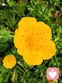 疯癫状是济公大智者的外在体现，所以莫轻视任何一种状态，它也许是看见自己的一扇窗！配图