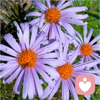 终其一生，我们到底在追求什么？想要的东西得到了吗？得到的结果又是我们想要的吗？这些思考过吗！配图