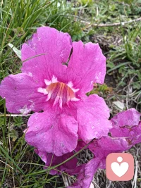 终其一生，我们到底在追求什么？想要的东西得到了吗？得到的结果又是我们想要的吗？这些思考过吗！配图