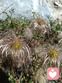 物欲横流的世界里，马不停蹄、披星戴月、风尘仆仆、疲于奔命，东奔西走、栉风沐雨这些字词说的是不是你，有没有想过停下来休息一下，来关爱一下自己，看清自己，看清方向，再整装待发！！！配图