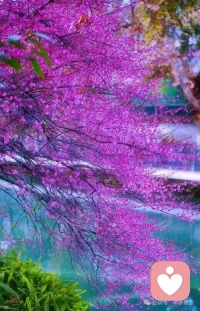 一切都是最好的安排！配图