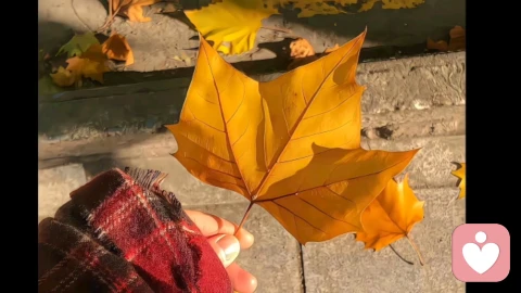 真正的养生 | 先养心再养身