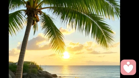 我们都在假装坚强，直到有人读懂沉默