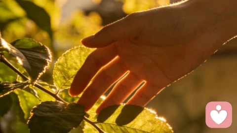 为什么你越努力，反而越累？这才是年轻人最隐蔽的“精神内耗