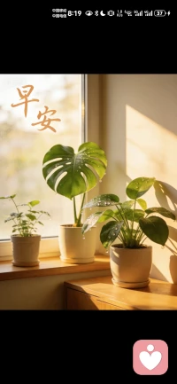 新的一天，不慌不忙，不卑不亢。
走过岁月才明白，内心的安稳，胜过一切热闹与慌张。
愿你晨起有微笑，所遇皆温柔，在自己的节奏里，活得通透又明亮。配图