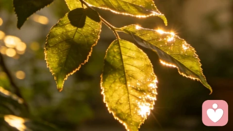 接纳平凡的日常,便是治愈心灵的开始