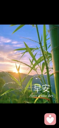 人到中年才懂，最好的状态是：
不讨好谁，不勉强自己，
身心舒畅，比什么都重要。
早安，新的一天，先取悦自己☀️配图