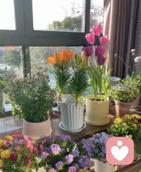 当你的心情生病了，那就先当个植物。吃吃喝喝，好好睡觉，晒晒太阳，慢慢长大，啥也不想。让大自然的力量治愈你的心灵。
然后，你需要变成一只动物。接受你所有的欲望，正视你的需求，愤怒和竞争。释放内心的野性，找回自己的力量。
最后，你需要变回一个小孩。重新照顾自己，找回对世界的好奇，热情和勇气。像孩子一样纯真和快乐，让生活再次充满色彩。
从植物到动物，再到小孩，把面具摘下来。重新变得真实，健康，充满活力。这就是心情疗愈的三部曲，你不妨试一试。配图