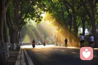 早上好🌹
倾听不是改变你，而是陪着你🫂配图