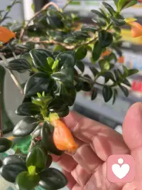 关于「自我关怀」
我们总是习惯了关怀他人，却常常忘了关怀自己。
今天，试着像对待最好的朋友那样对待自己吧：
允许自己休息，接纳自己的不完美，对自己说一句“辛苦了，你已经很棒了”。
内心的安宁，往往始于对自己的善意。配图