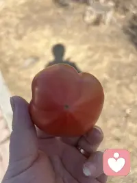 把烦心事丢掉，腾出地方装鲜花和好运✨
愿日子清净，抬头皆是温柔。配图