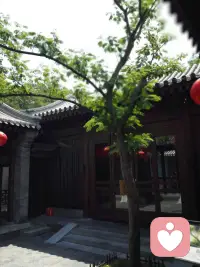世间所有的美好，都是恰逢其时配图