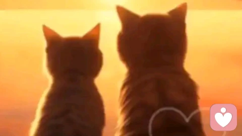 青春期早熟在谈恋爱时候，女孩子怎么保护好自己，简单整理回复一下