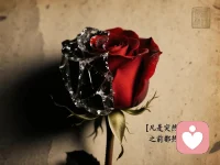 关系从来不是断的，是一点点死掉的 

你看到的是翻脸，看不到的是积累。

如果有一天我让你不舒服了，

那一定是你先让我不舒服，只是你不记得。

你以为我在变，其实我只是在停止忍。

凡是突然的冷淡，之前都热过头；

凡是明显的疏远，之前都给过路；

凡是最后的决绝，之前都反复原谅过。

你觉得我态度变了，其实是我不想再配合你了。

人不是一开始就冷，是被一次次试探，才学会收回温度。

所有翻脸，本质都是忍耐到期；所有沉默，都是关系在撤资。

凡是让你反复不舒服的关系，本质都不值得继续。

你可以忽略一次情绪，但别高估一个人能忍多久。配图