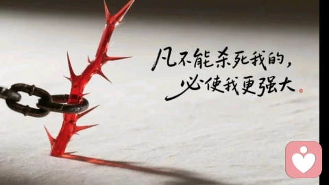 不要向不爱你的人证明