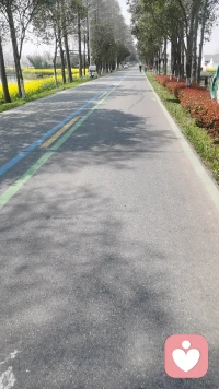 朋友圈，
不是想炫耀什么，
只是想好好记录生活，
也想让在乎的人，
知道我一切都好。