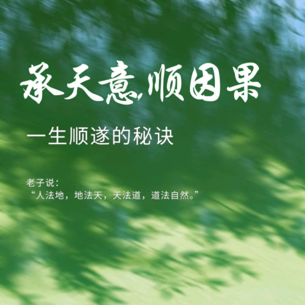 💞心伴☎️解忧💞