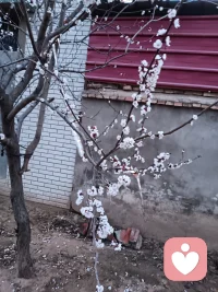 内心强大，就不回因为外界因素，影响自己内心的平静，祥和。内心强大了，才不会有更多的负面情绪配图