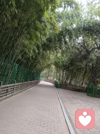 焦虑的时候，试着让自己静下心来，越焦虑越乱，越着急越出错，停下来深呼吸，允许一切慢慢来，你已经很努力了。试着让自己慢下来，听听自己喜欢的音乐，出去散散步，和朋友聊聊天，看看一些自己喜欢的风景和喜剧。只要你需要，我随时都在这里陪着你配图