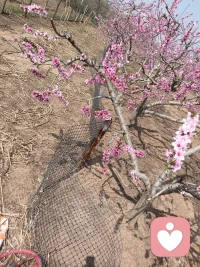 不要因为一件小事困住自己的情绪，有情绪的时候呢，就要找到一个发泄出口出去散散步，或者是吃自己喜欢吃的美食，听自己喜欢听的音乐，看自己喜欢看的短剧，看一些搞笑片搞笑短电视剧来缓解自己的情绪，自己内心强大，外面无论发生么事，都不会影响自己的心情