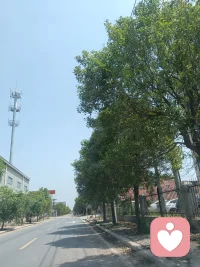 借事修心
人生所有磨难与坎坷，都是成长的考题
 
真正顶级的修行
从不是向外索取，而是向内扎根。
 
当你的灵魂彻底归位
往后余生，皆是坦途。