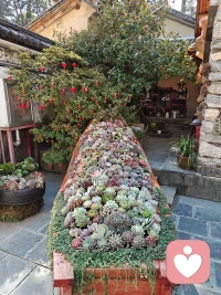 世间烦恼都是常事，不圆满才是人生配图