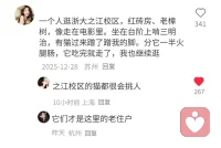 幸福是很简单的，人生不需要活成标准答案～配图