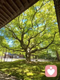 人总是在逆境中成长得最快。