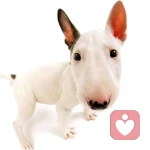 慢慢心理的头像