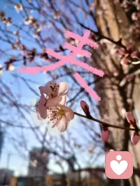 要周末啦，周末愉快啊配图