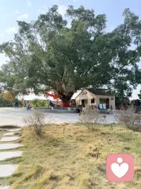 我随时都在，很晚很晚也没关系，消息回复特别快，有需要倾诉的联系我配图