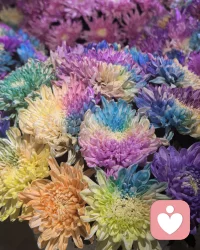 当你看见河，你已在河之外，当你看见山，你就在山之外。当你看见情绪，你已在情绪之外。