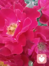 人生问题不是人际关系问题就是自我心里矛盾没有化解。这个世界除了你之外，一切都是你心的显现。别人只是在做ta自己时配合你表现而已。配图