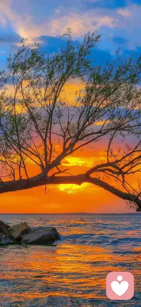 如果你不能过好自己，外界所有人和事都会是你的修罗场，是你烦恼的来源。你会很容易被别人牵引着喜怒哀乐而不能自拔。但同时别人无动于衷而你却独自心累到寸步难行，心里好像千疮百孔一样！配图