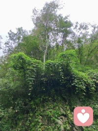 终有一天，我将举杯，敬我的莽撞、敬我的孤勇、我秉直的脾性，以及我的泪流满面！配图