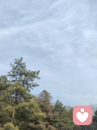 缘起，我在人群中看见你，
缘灭，我看见你在人群中配图