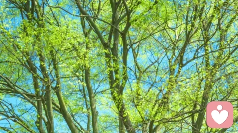 三类糟糕的父母