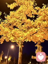 放下伪装，做自己配图