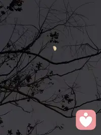 倾听陪聊 免费配图