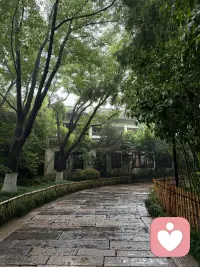 性别女，承接有缘的倾听服务，不视频。非诚勿扰。配图